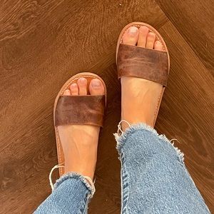 Freebird by Steven slides